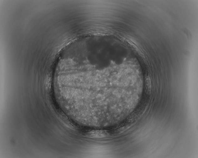 X0000113080499200909250952