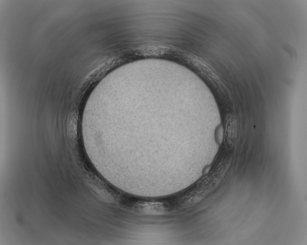 X0000113080501200909250952