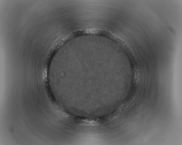 X0000113080502200909250952