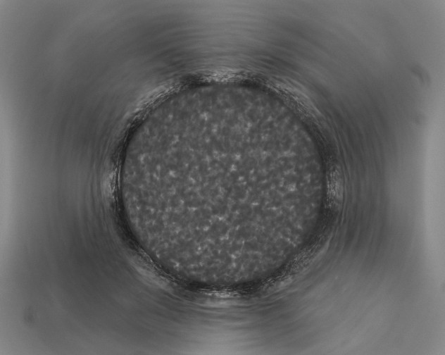 X0000113080503200909250952