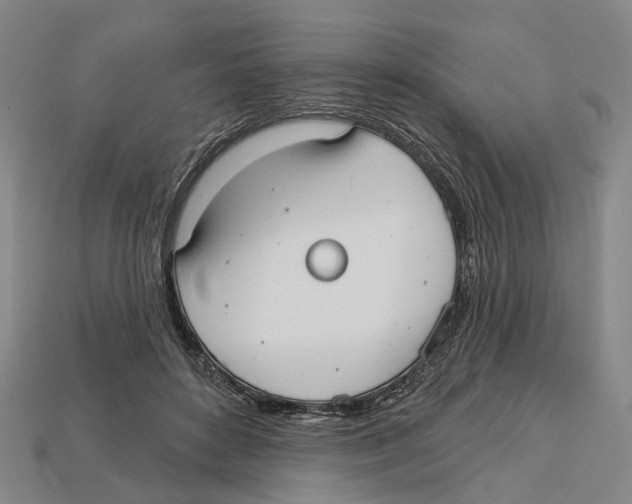 X0000113080504200909250952