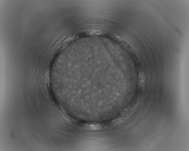 X0000113080506200909250952