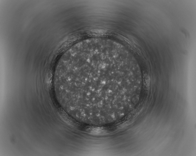 X0000113080507200909250952
