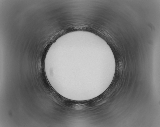 X0000113080508200909250952