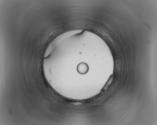 X0000113080509200909250952