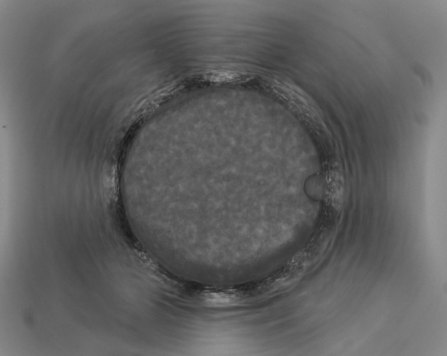 X0000113080510200909250952