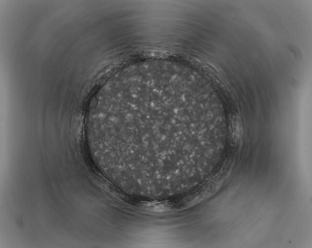 X0000113080511200909250952