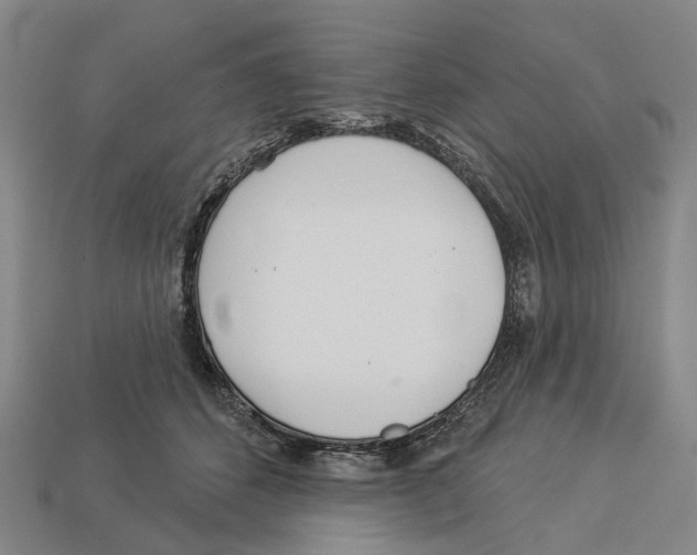 X0000113080512200909250952