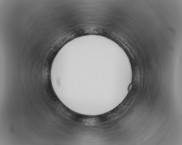 X0000113080513200909250952