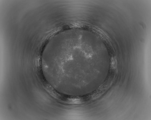 X0000113080514200909250952