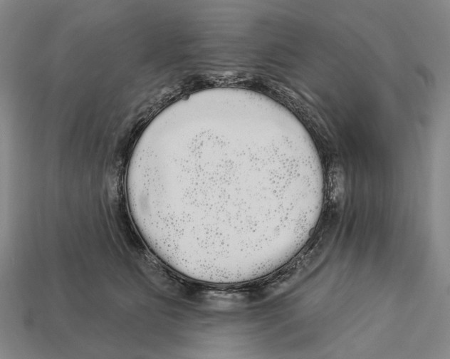 X0000113080515200909250952