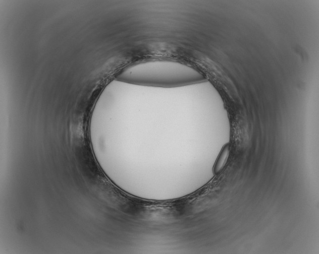 X0000113080516200909250952
