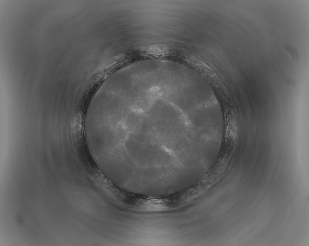 X0000113080518200909250952