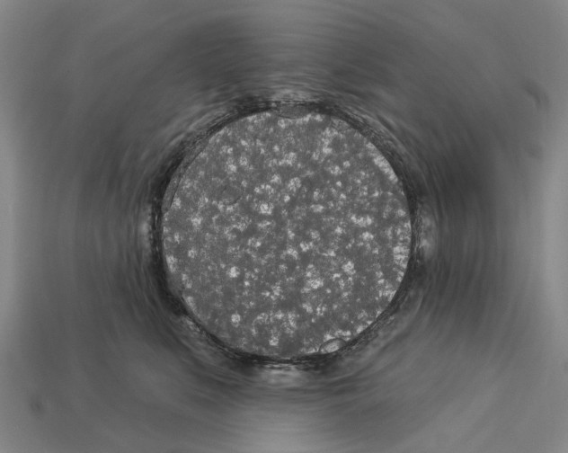 X0000113080519200909250952