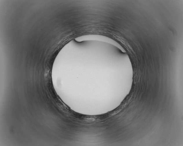 X0000113080521200909250952