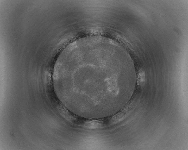 X0000113080522200909250952