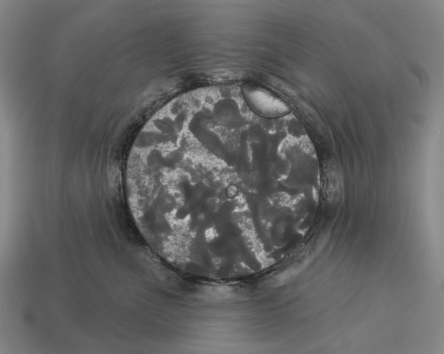 X0000113080523200909250952