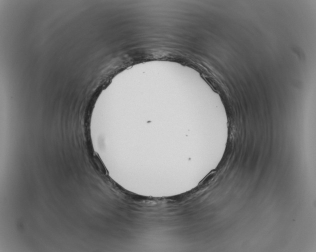 X0000113080524200909250952