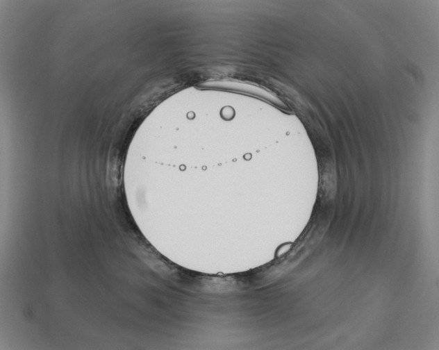 X0000113080525200909250952