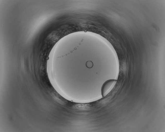 X0000113080526200909250952