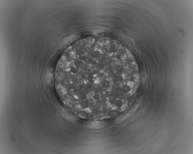 X0000113080527200909250952
