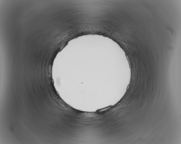 X0000113080528200909250952