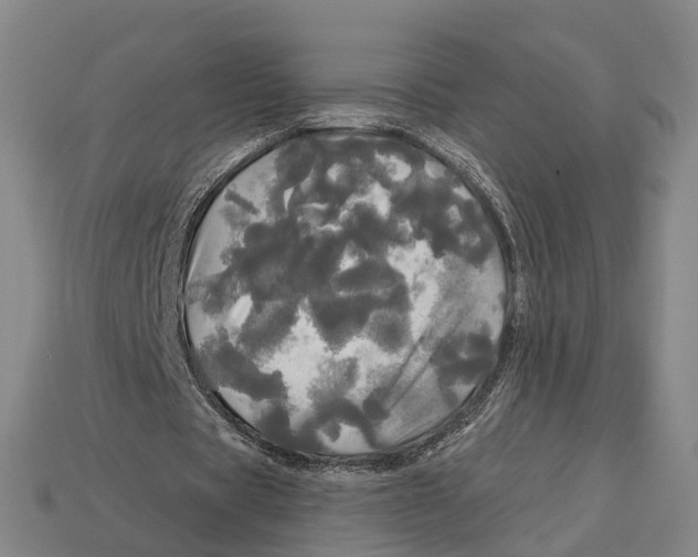 X0000113080529200909250951