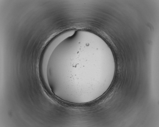 X0000113080530200909250951
