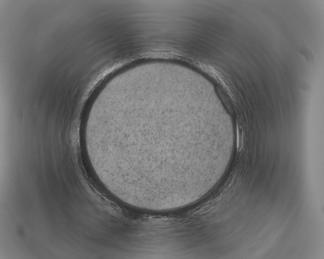 X0000113080531200909250951