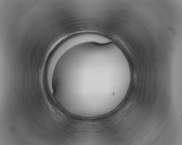 X0000113080532200909250951