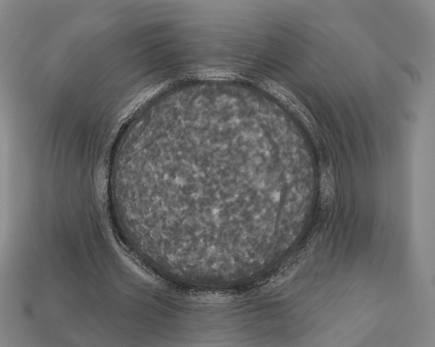 X0000113080533200909250951