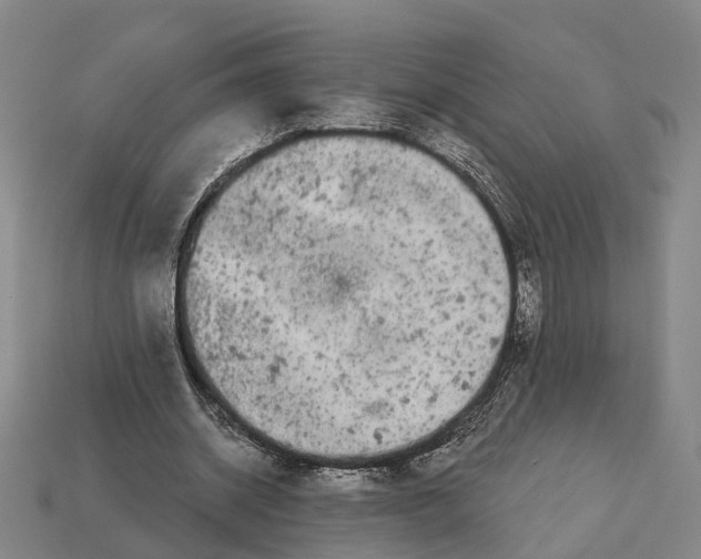 X0000113080534200909250951