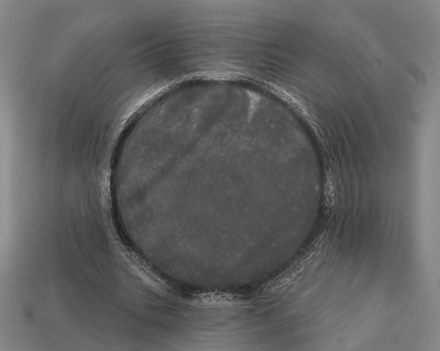 X0000113080535200909250951