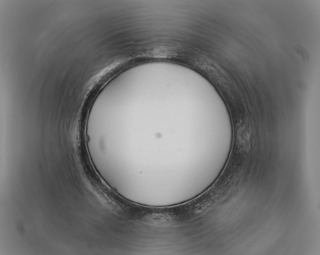 X0000113080536200909250951