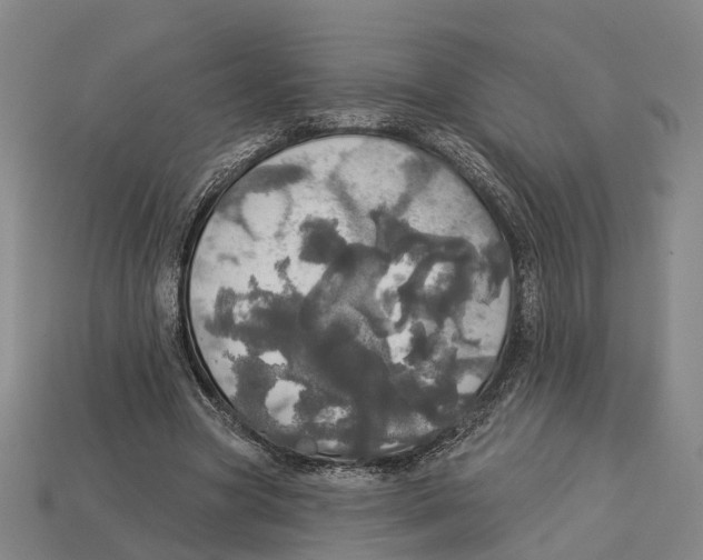 X0000113080537200909250951