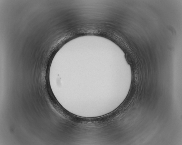 X0000113080538200909250951