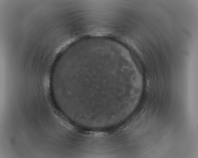 X0000113080539200909250951