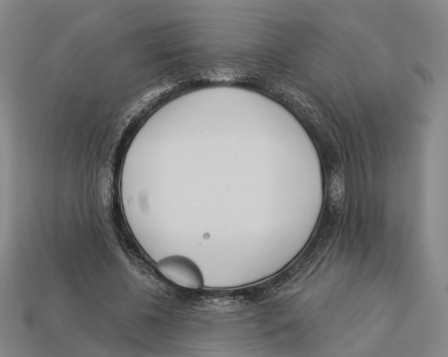 X0000113080540200909250951