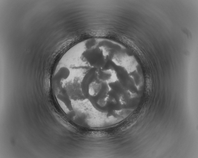 X0000113080541200909250951