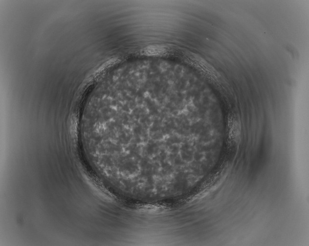 X0000113080542200909250951