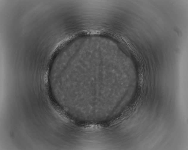 X0000113080543200909250951