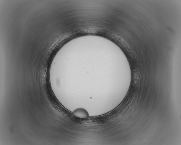 X0000113080544200909250951