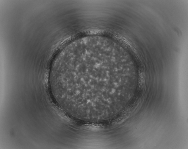 X0000113080545200909250951