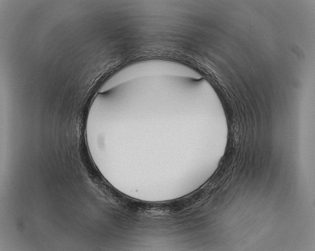 X0000113080546200909250951