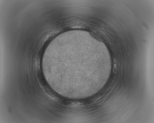 X0000113080547200909250951