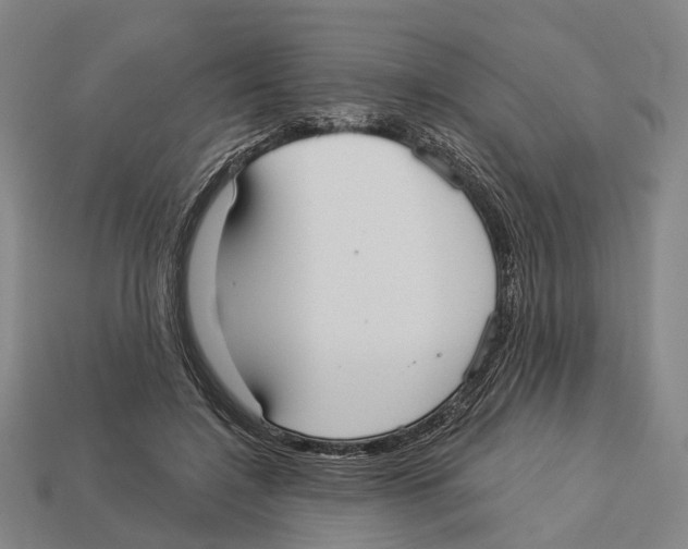 X0000113080548200909250951
