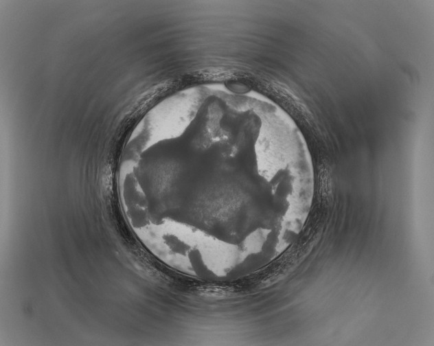X0000113080549200909250951