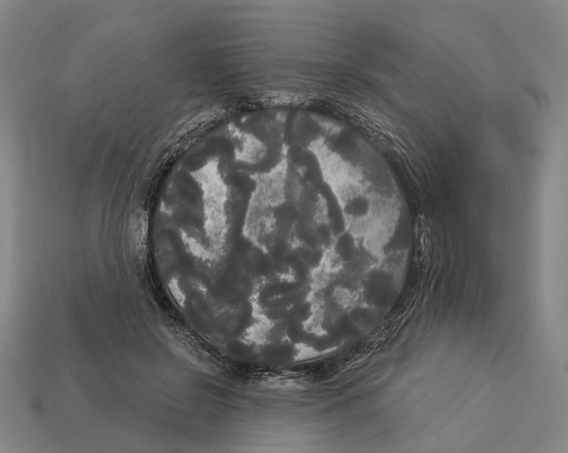 X0000113080550200909250951