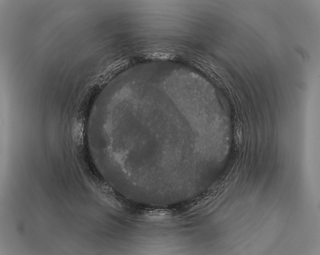X0000113080551200909250951