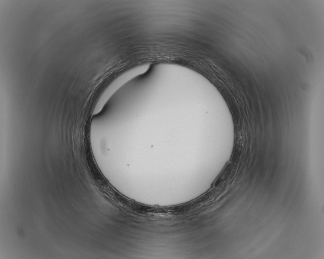 X0000113080552200909250951